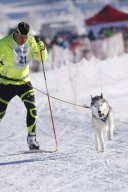 Lenk 2013